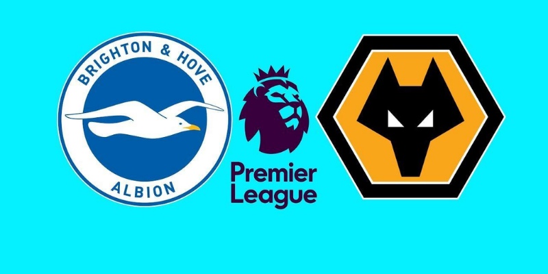 Wolverhampton Wanderers vs Brighton & Hove Albion