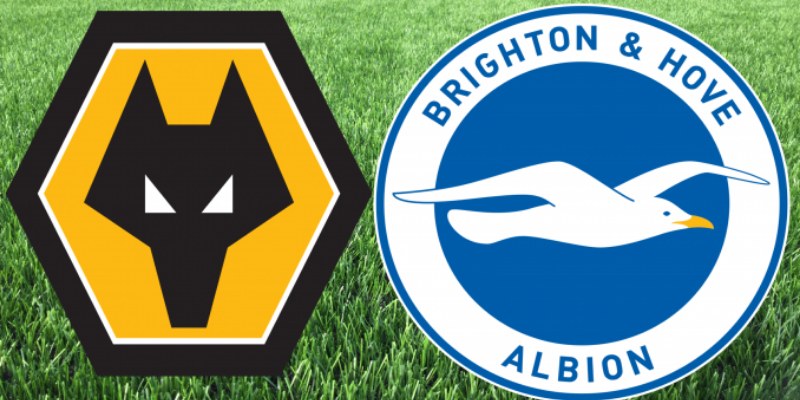 Nhận Định Kèo Trận Wolverhampton Wanderers vs Brighton & Hove Albion 2 Wolverhampton Wanderers vs Brighton & Hove Albion